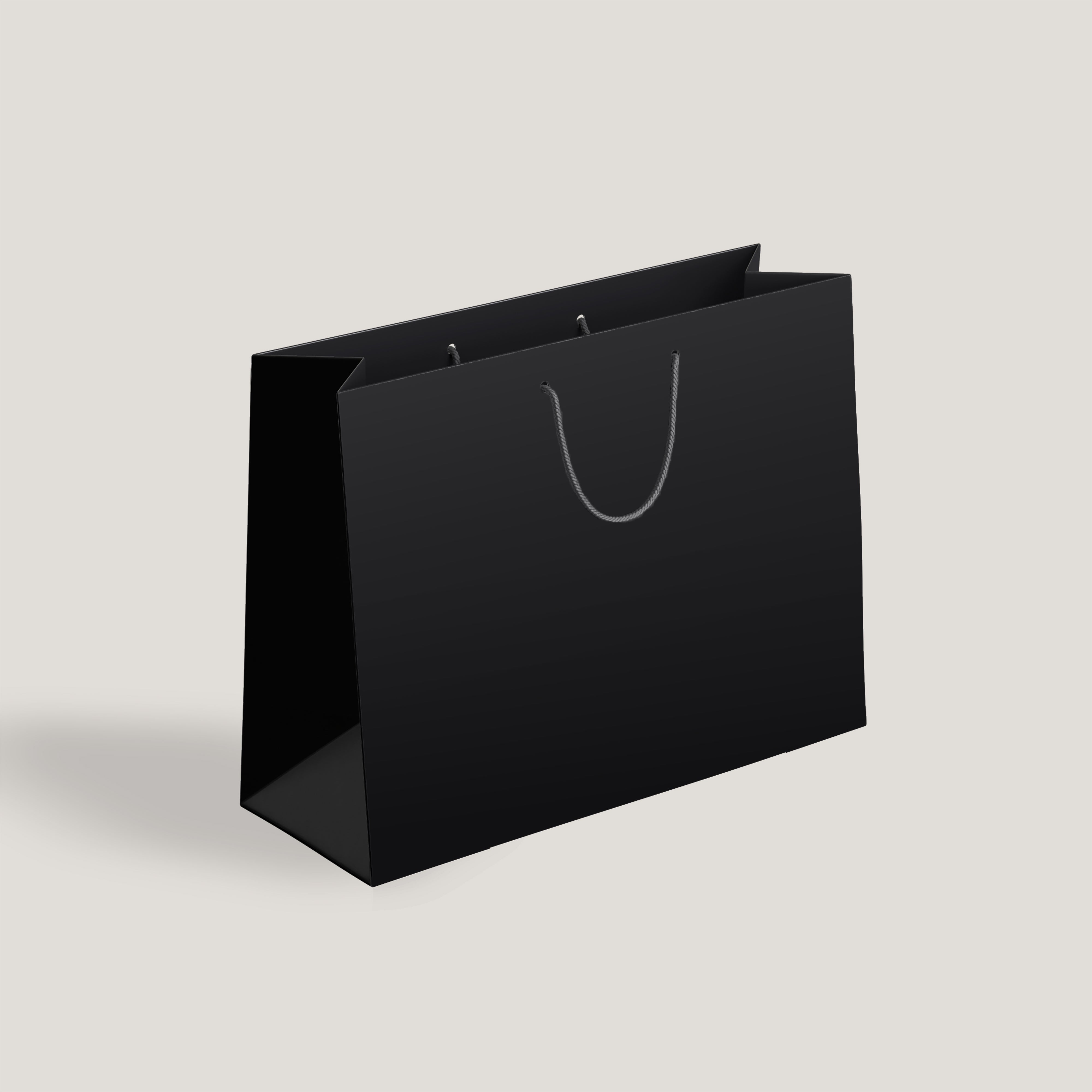 Carrier Bags (10 Pack)