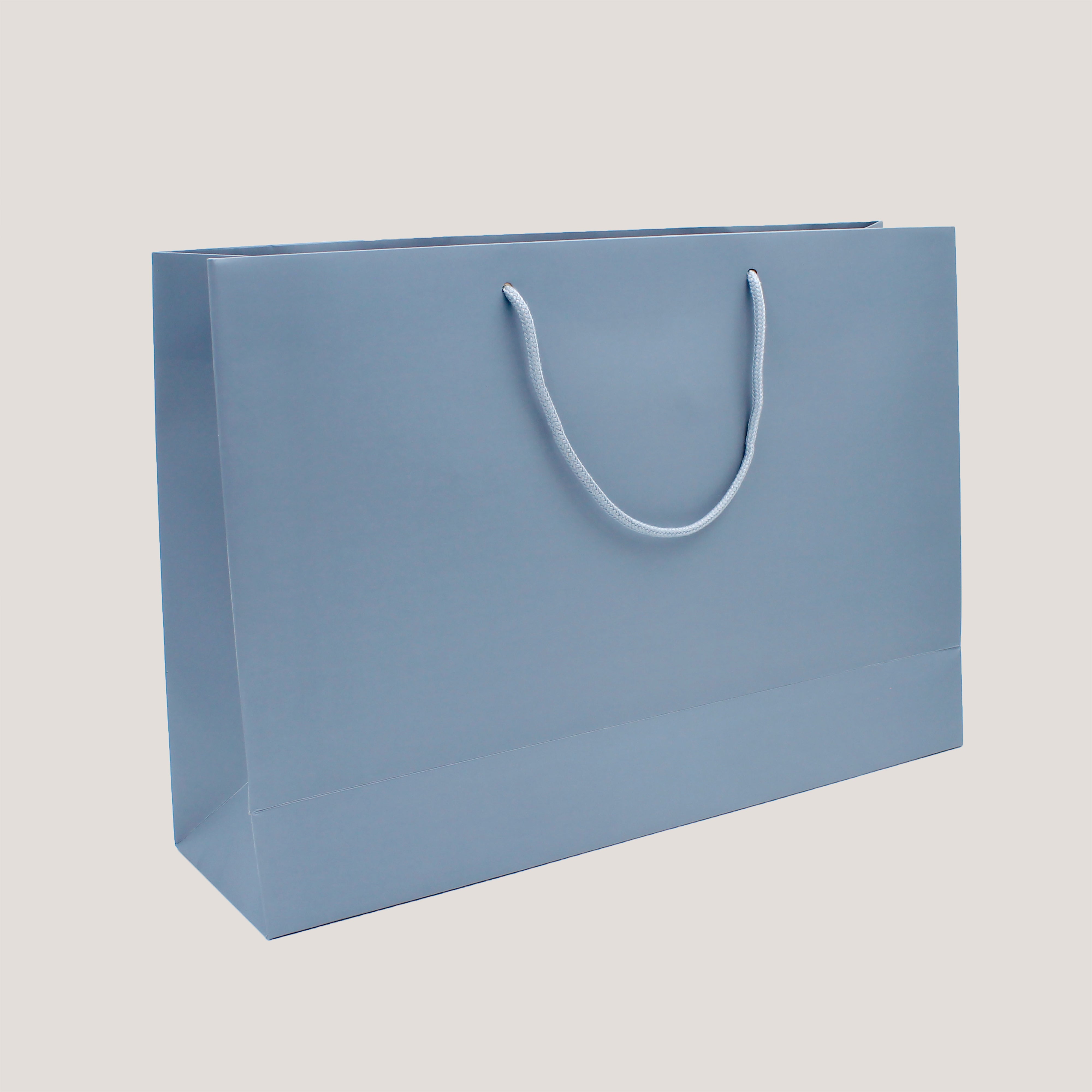Carrier Bags (10 Pack)