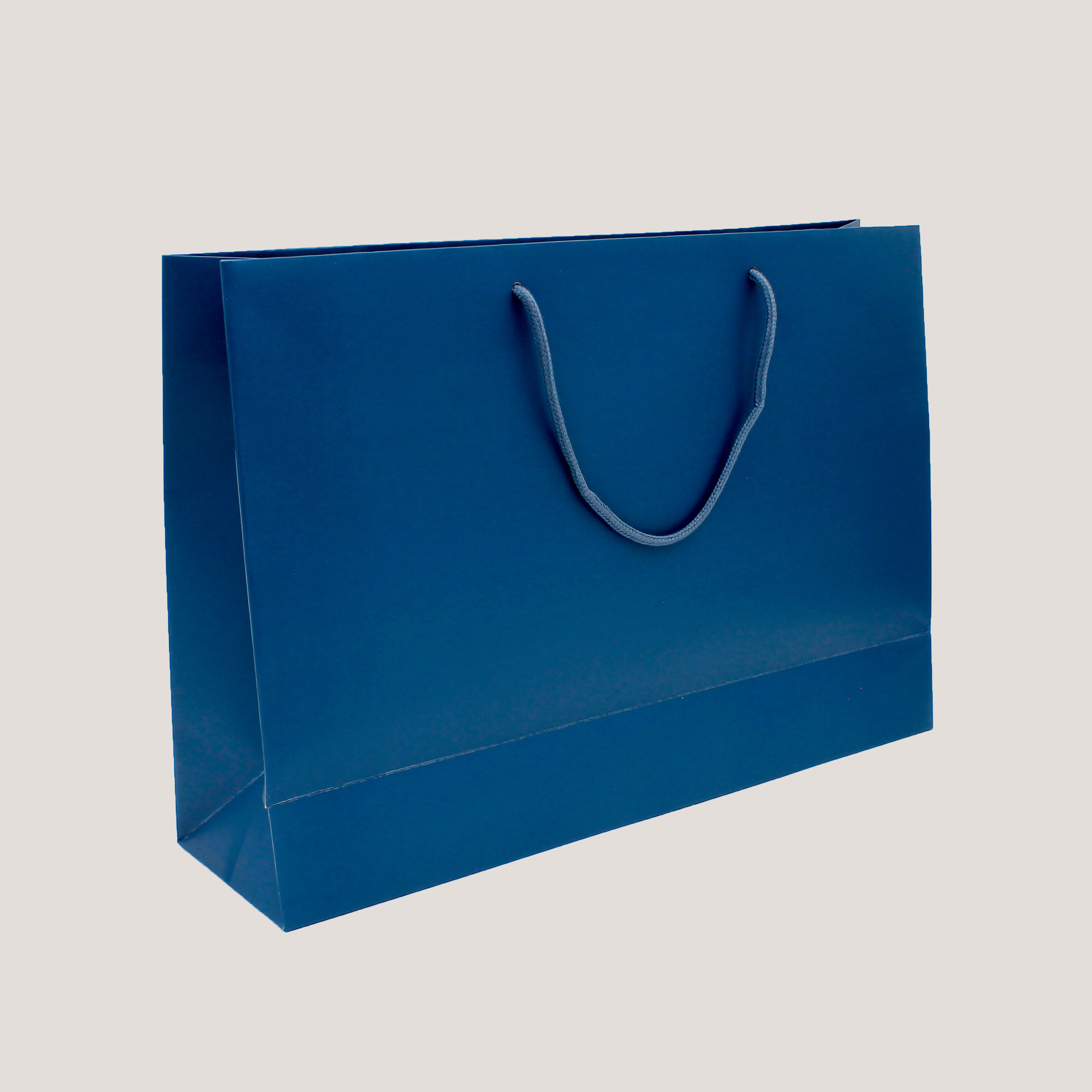 Carrier Bags (10 Pack)