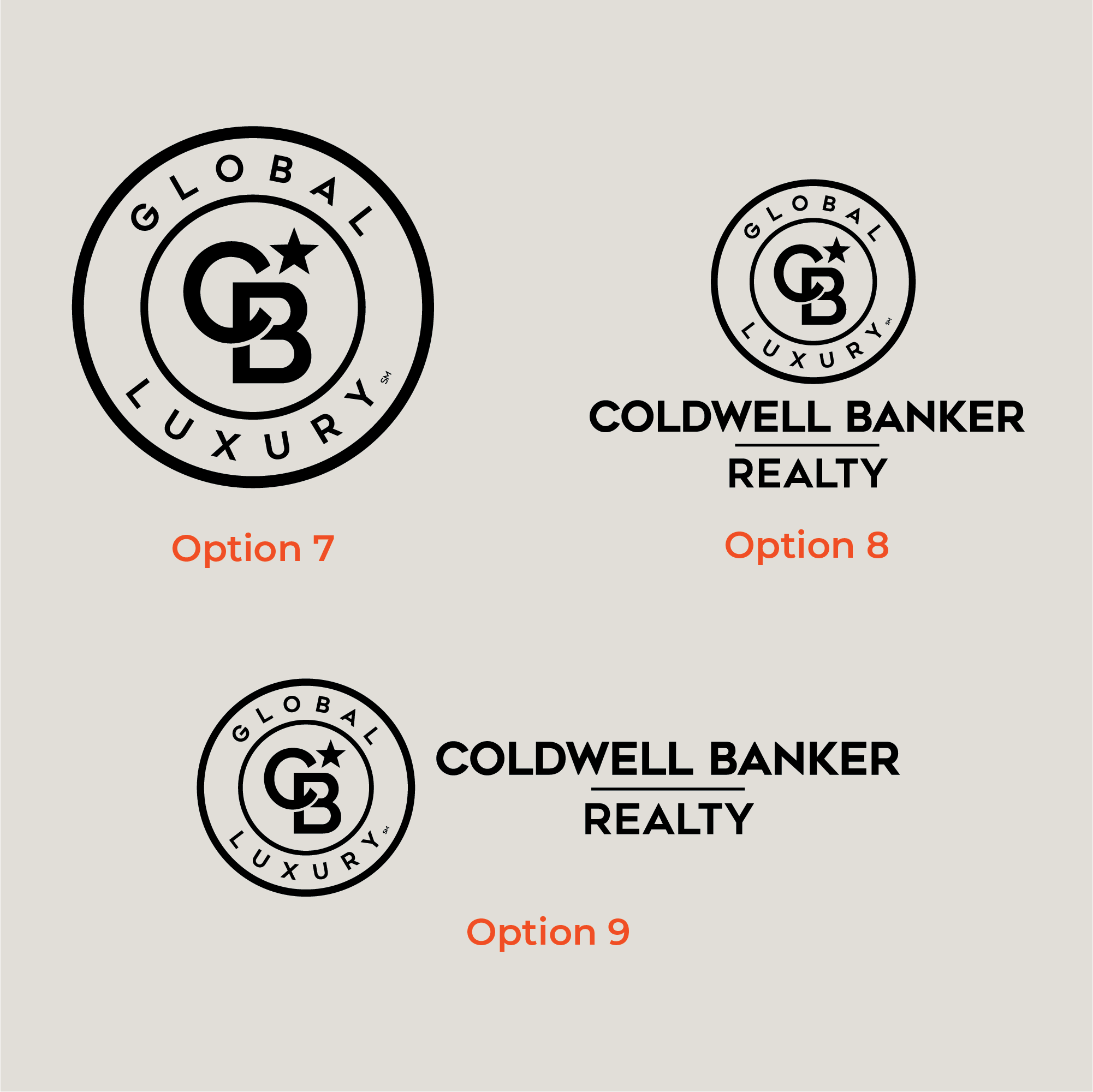 Coldwell Banker Global Luxury Landscape Hardcovers (Pack of 10)